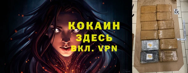 сатива Белоозёрский