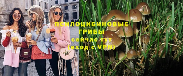 марки lsd Белокуриха
