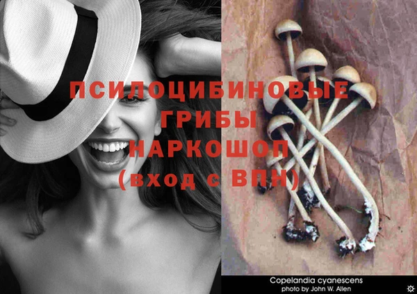 ALPHA PVP Балахна