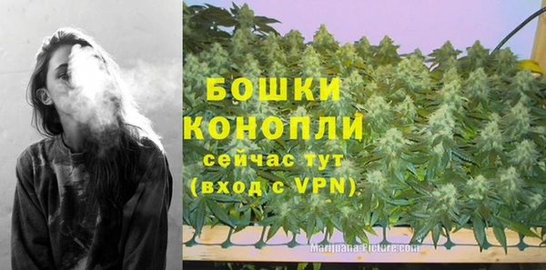 марки lsd Белокуриха