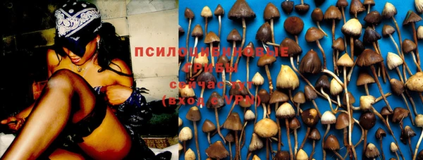 ALPHA-PVP Беломорск
