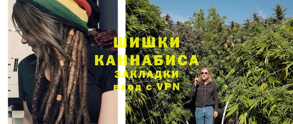 марки lsd Белокуриха